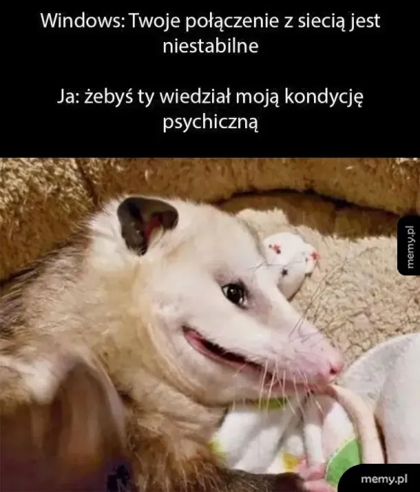 Zwierzę z wyrazem twarzy, które wygląda na zmartwione.