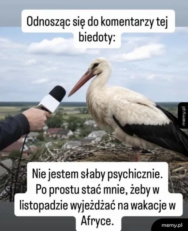 Bocian na gnieździe z mikrofonem w tle.