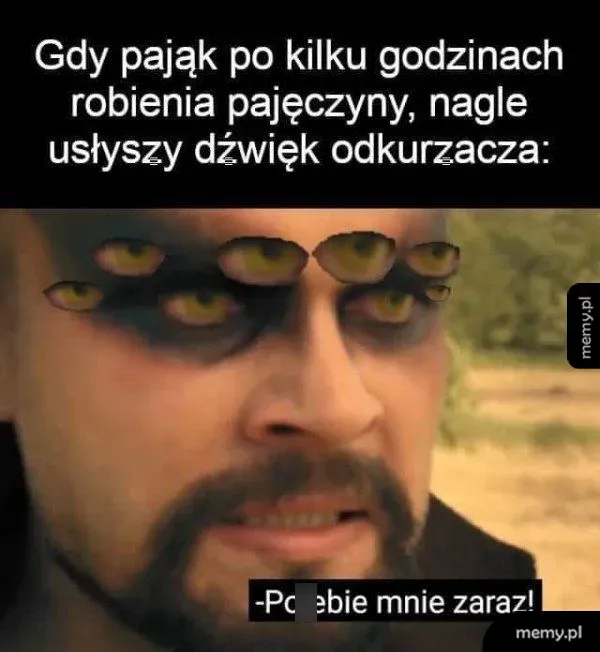 Całą robota na marne 🕷️