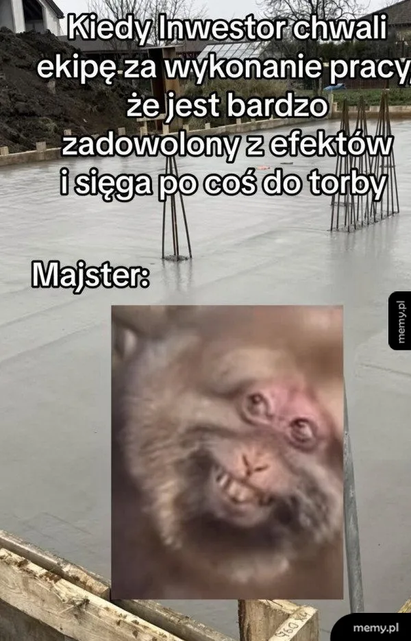Zdjęcie zalanego fundamentu budowlanego i zbliżenie na uśmiechniętą małpę.