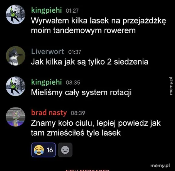 Zrzut ekranu z czatu internetowego z rozmową o rowerze tandemie i podrywaniu dziewczyn.