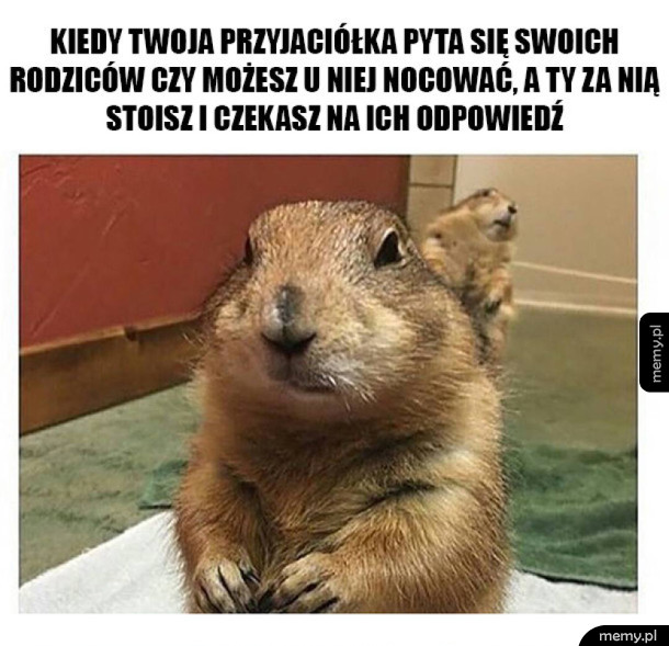 Nocowanie u przyjaciółki