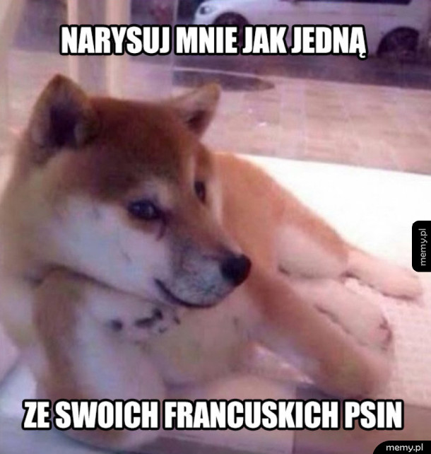 Narysuj mnie jak jedną ze swoich francuskich psin