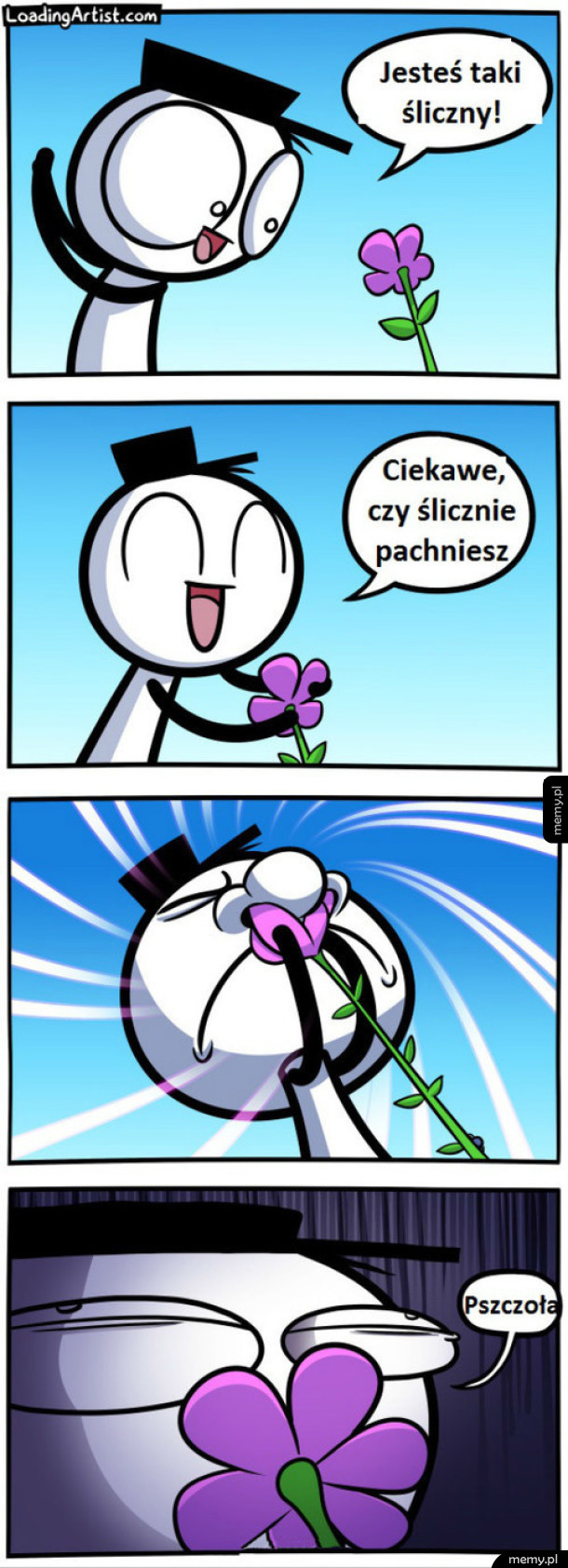 Zapach