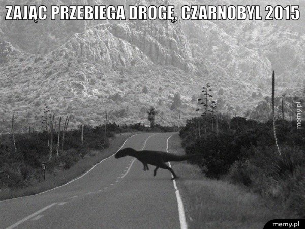 Piękne zdjęcie 