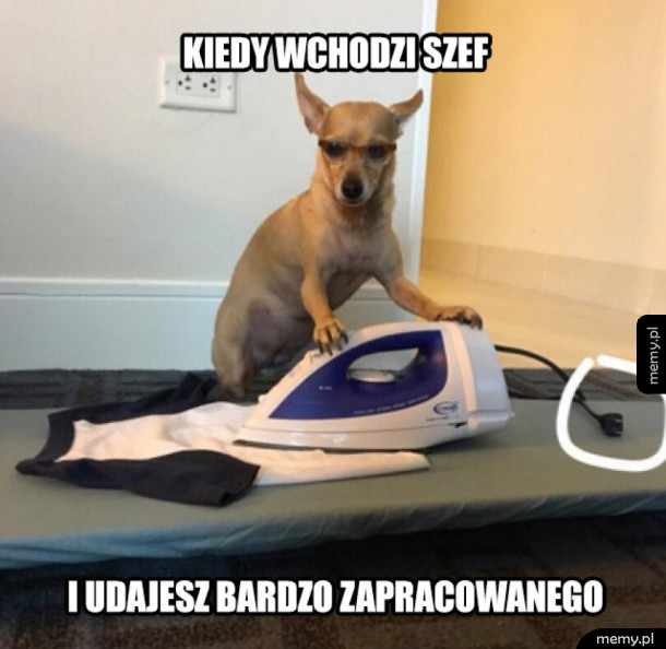 Kiedy wchodzi szef