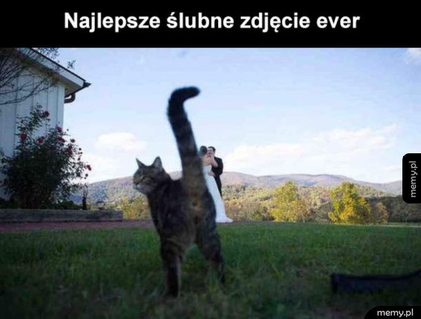 Miłość? Nakarm mnie!