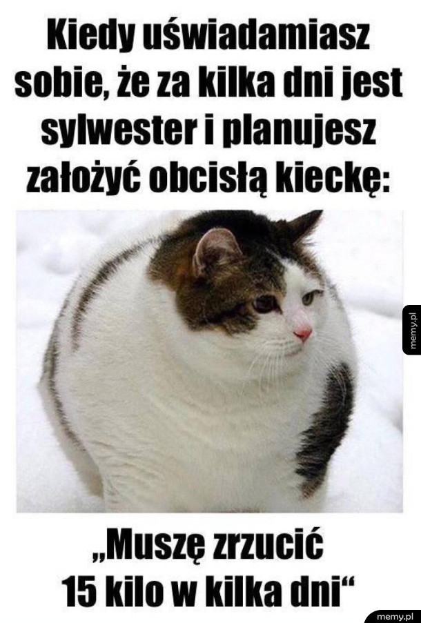 Trzeba wierzyć