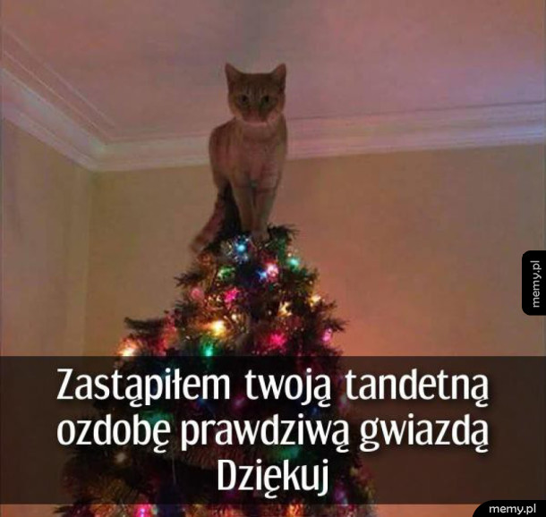 Prawdziwa gwiazda