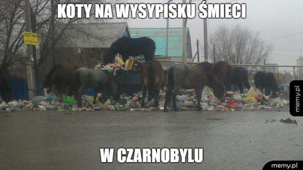 Czarnobyl
