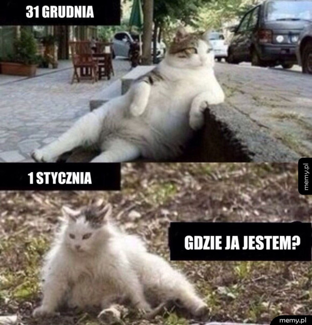 Przed i PO