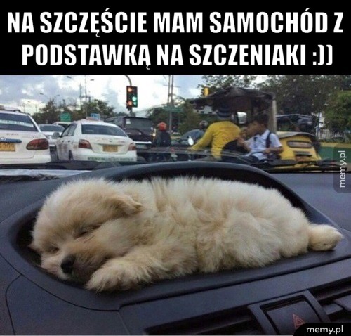 Podstawka na szczeniaki 