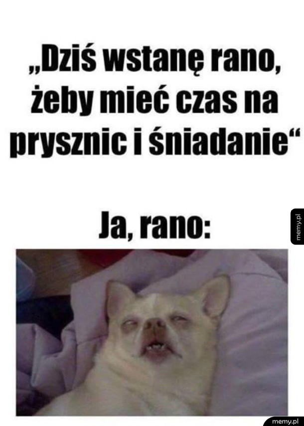 Poranki takie są