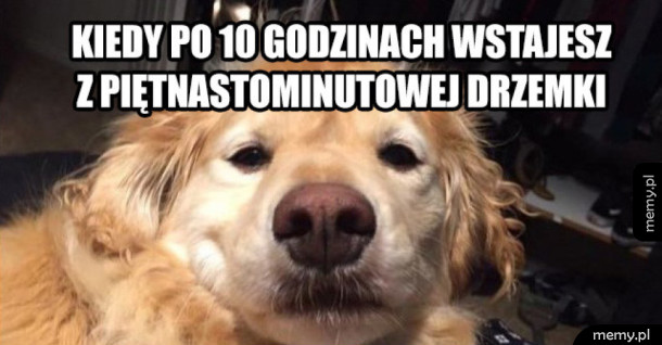 Piętnastominutowa drzemka