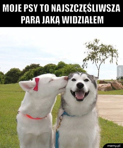 Prawdziwa miłość