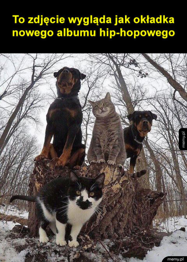 Nowy zespół