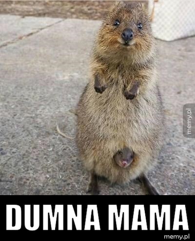 Dumna mama