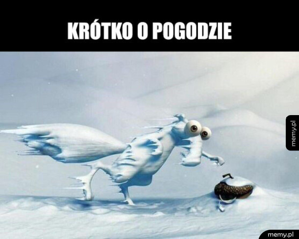 Troche zimno