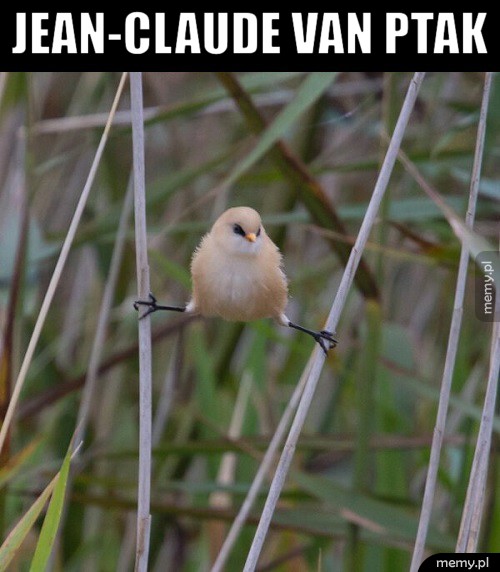  Jean-Claude