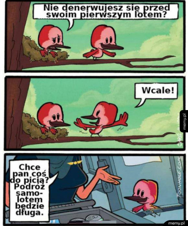 Ten pierwszy lot