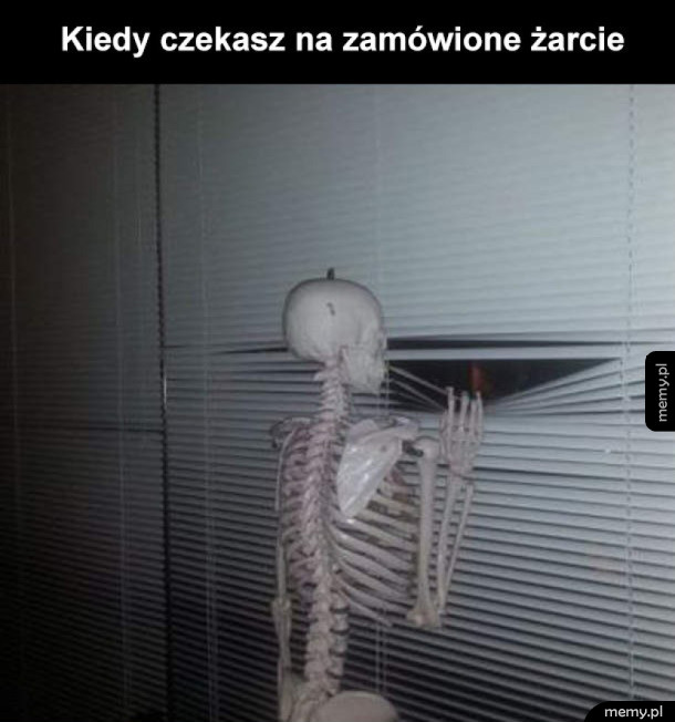 Tak to wygląda