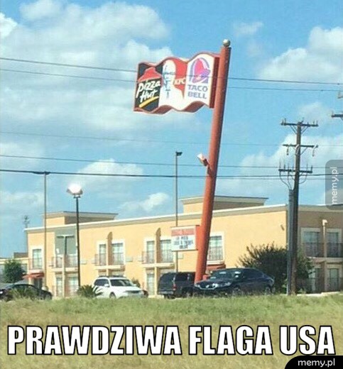       Flaga