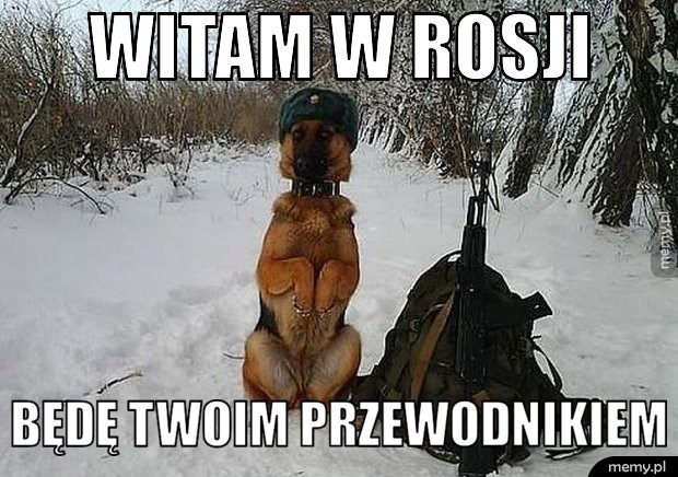         Rosja