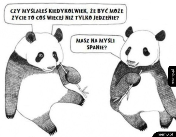 Pandy rozmyślają o życiu
