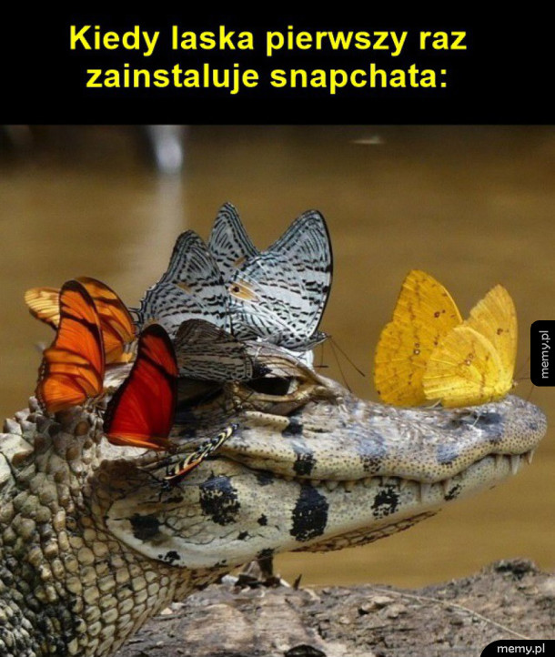 Laski i snapchat