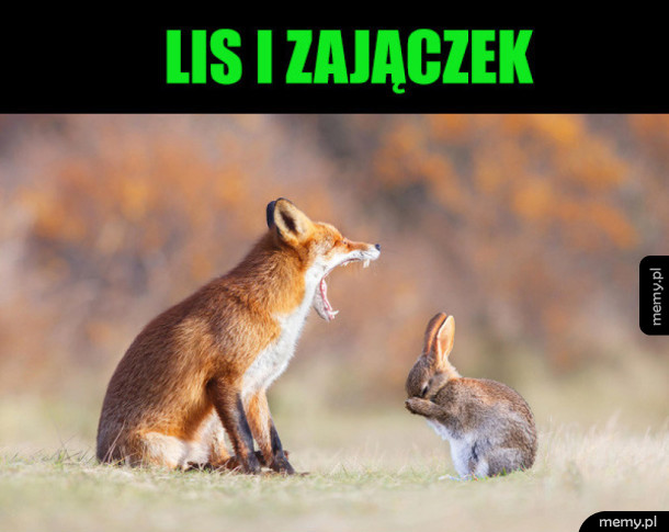Nietypowe spotkanie