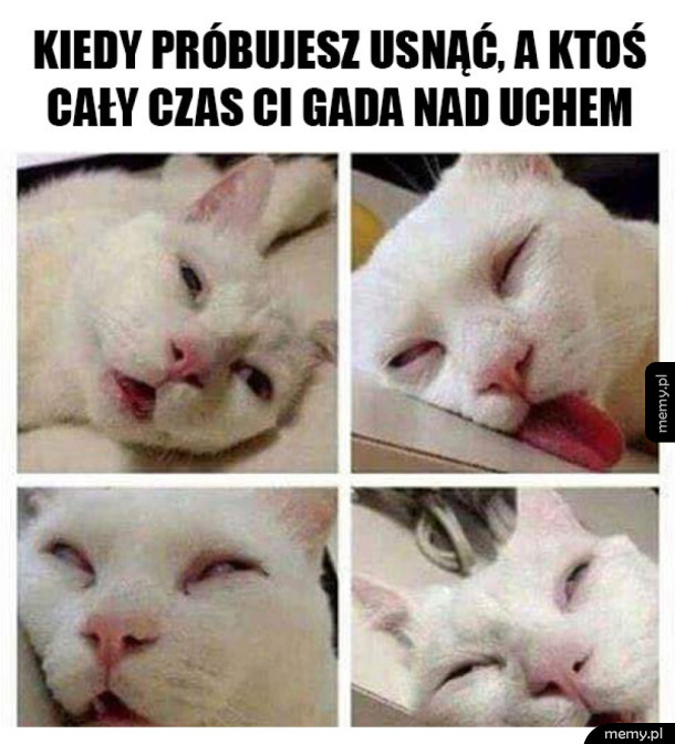 Przeszkadza w śnie