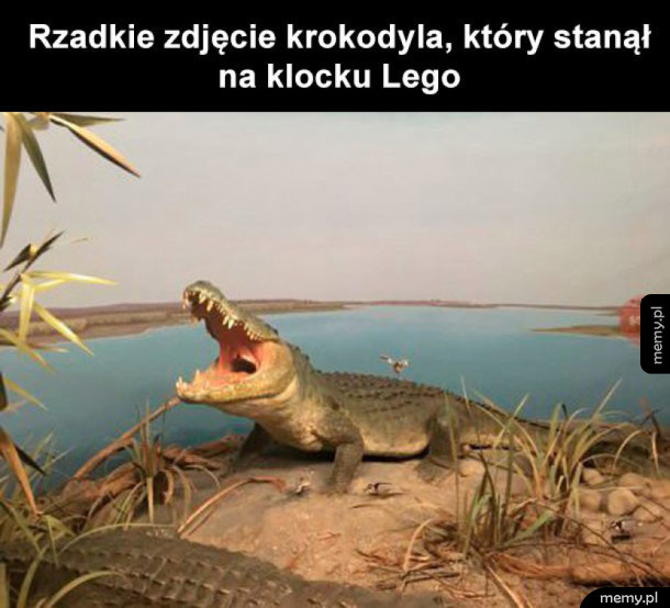 Przyroda jest piękna