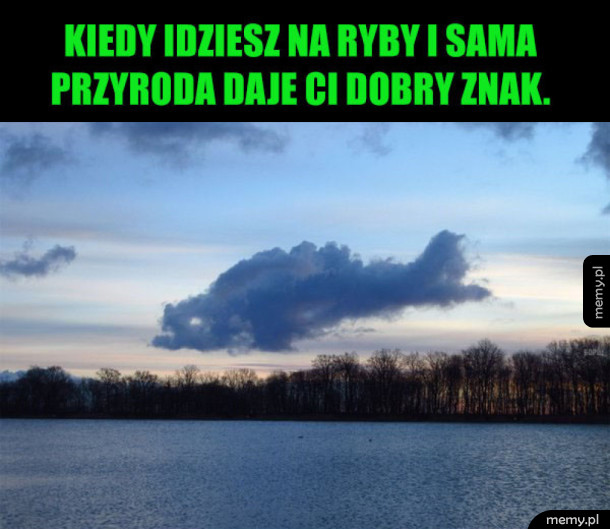 Rybna chmura