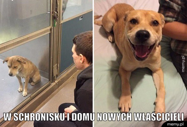 Szczęście mocno!