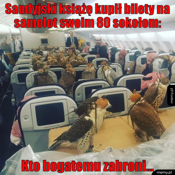 Szlachta się bawi