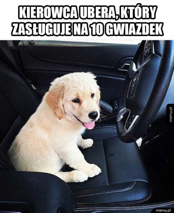 Najlepszy kierowca Ubera na świecie