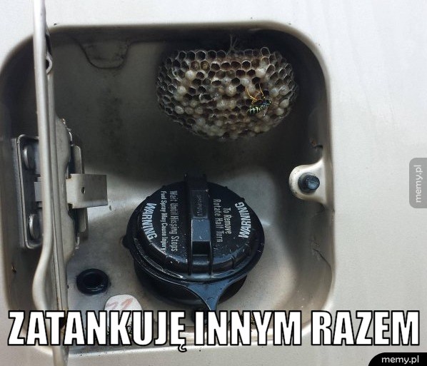 Co im odbiło?!