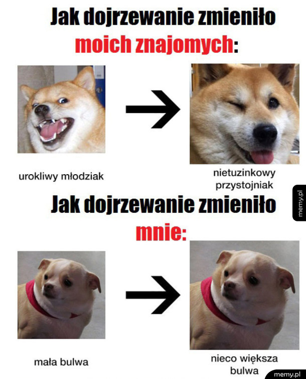 Jak dojrzewanie zmienia