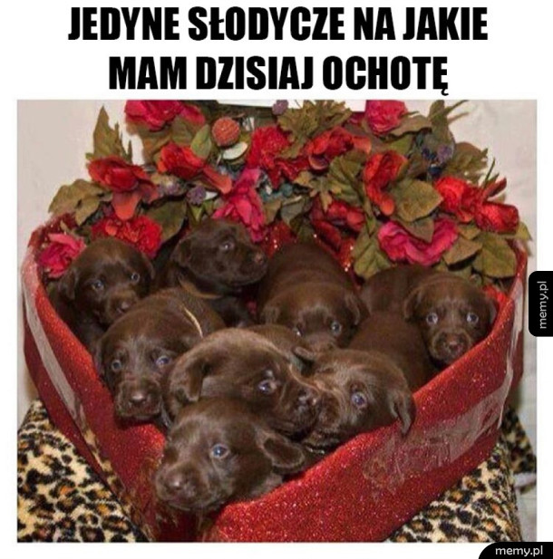 Najcudowniejsze słodycze
