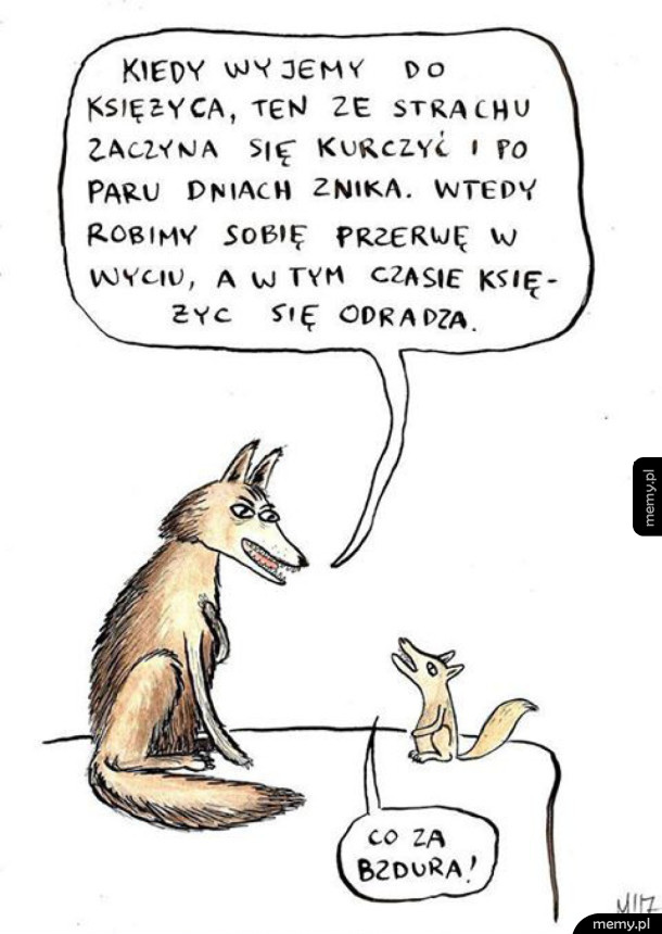 Wilki i księżyc