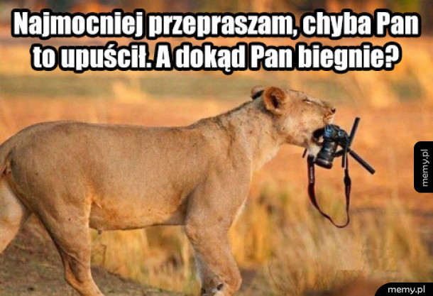 Uczynna lwica