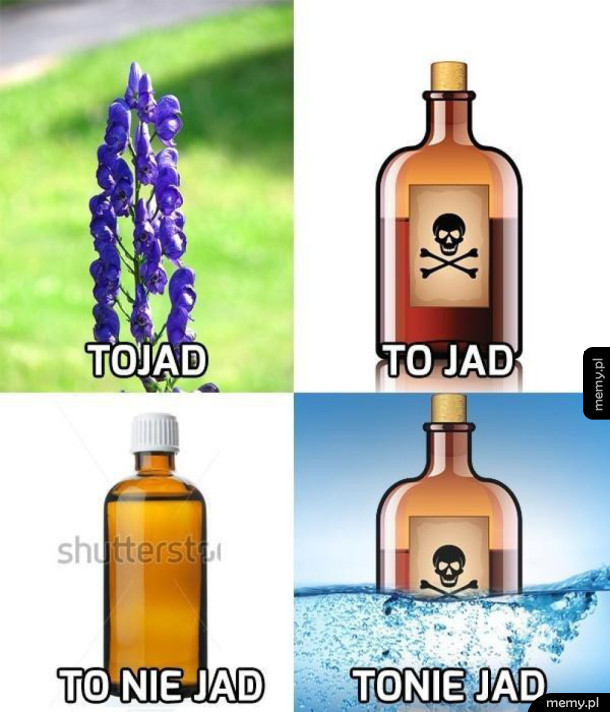 To w końcu jad, czy nie
