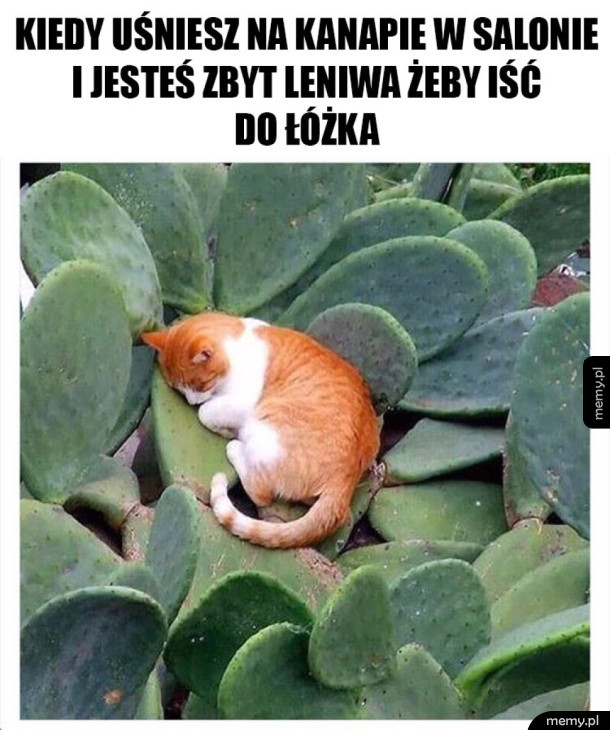 Spanie w niewygodnej pozycji