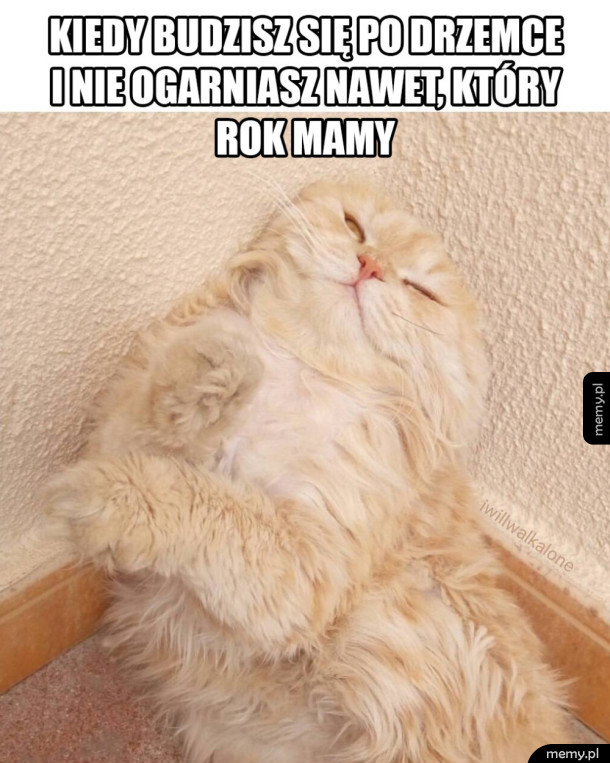Drzemka po której się gubisz