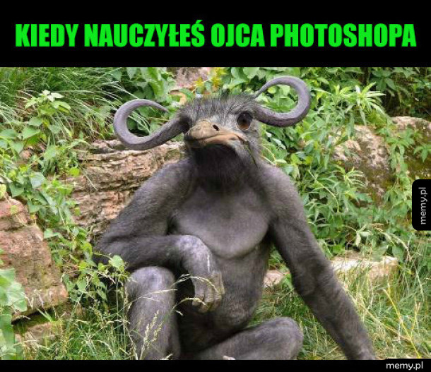 Co za zwierze