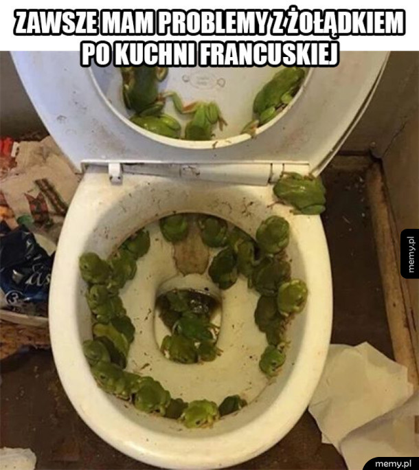 Problemy po kuchni francuskiej