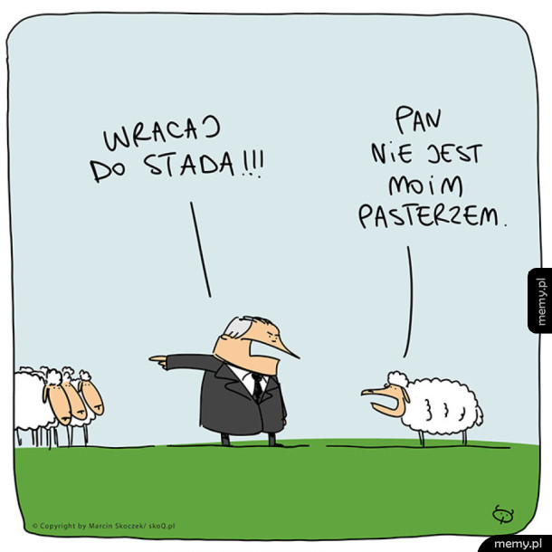 Mądra owca