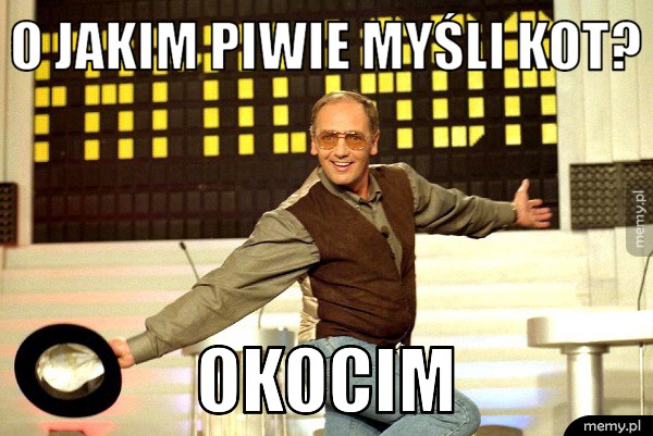 O jakim piwie myśli kot?