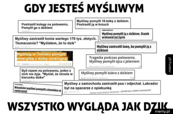 Problemy myśliwych