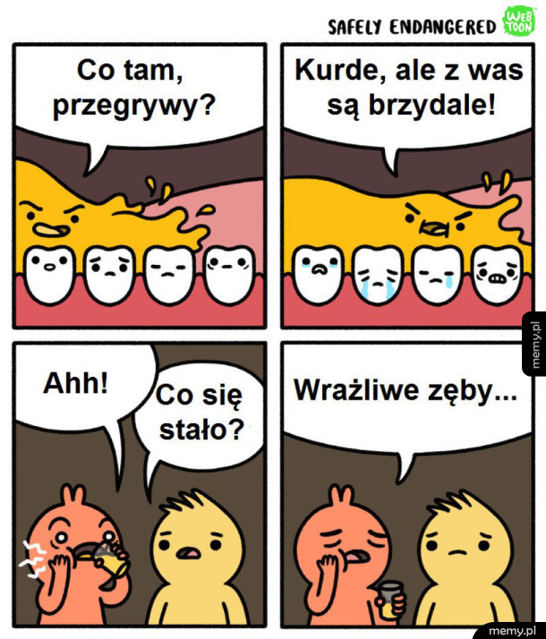 Co tam przegrywy